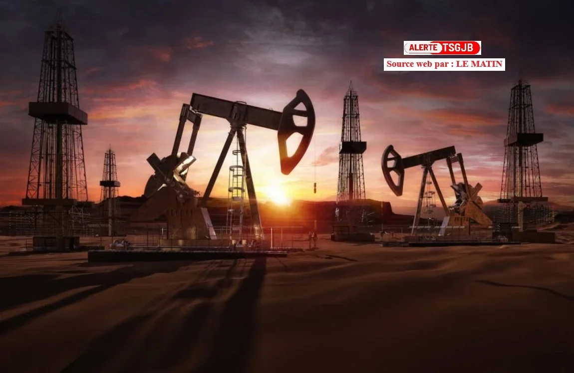 Pétrole : l’OPEP+ relève ses quotas de production de 188.000 barils par jour en septembre